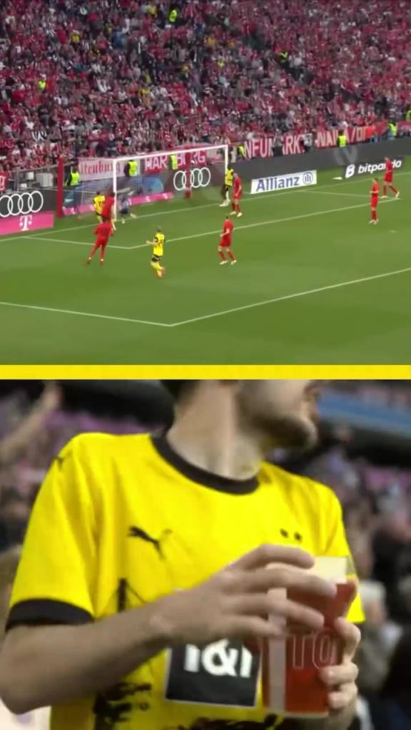 勇者無懼！這是真多特球迷！在拜仁球迷區(qū)一個人肆意慶祝！